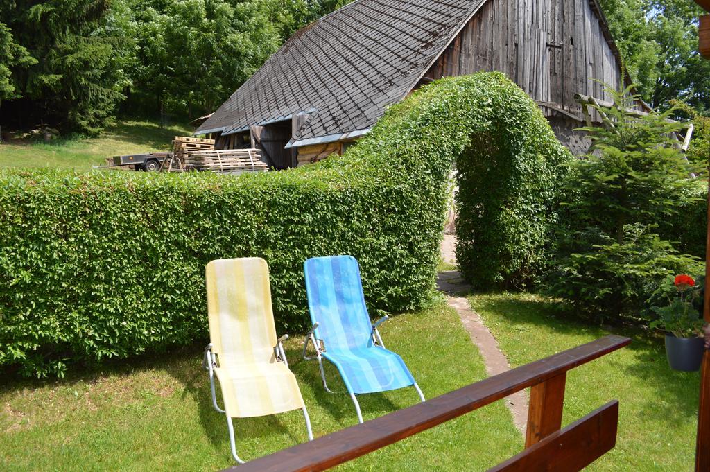 Apartment Dana Horni Branna